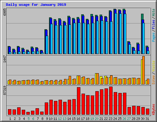 Daily usage for January 2019