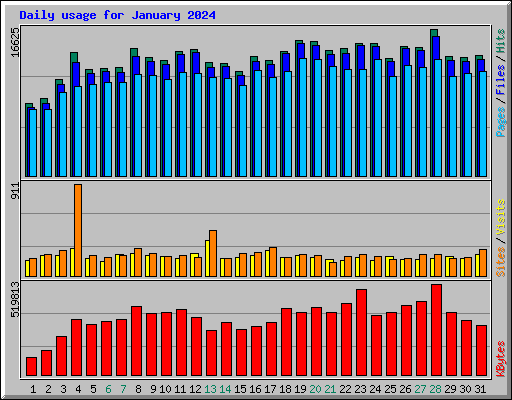 Daily usage for January 2024