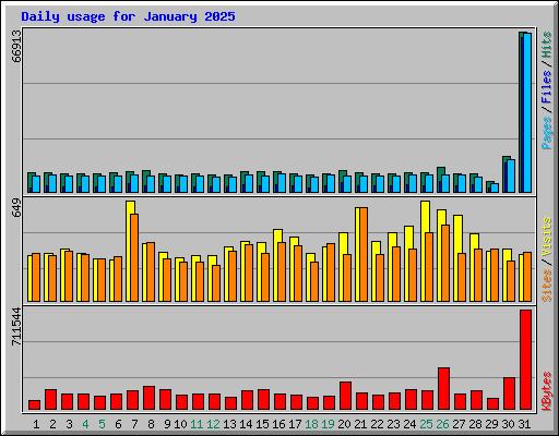 Daily usage for January 2025