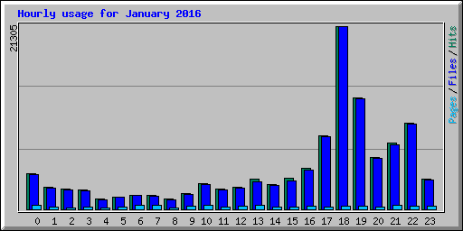 Hourly usage for January 2016