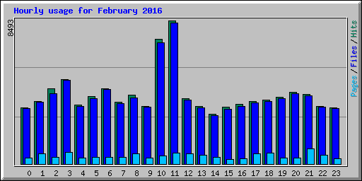 Hourly usage for February 2016