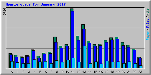 Hourly usage for January 2017