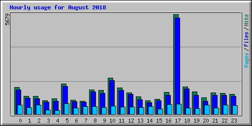 Hourly usage for August 2018