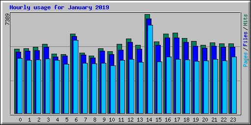 Hourly usage for January 2019