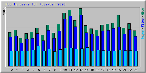 Hourly usage for November 2020