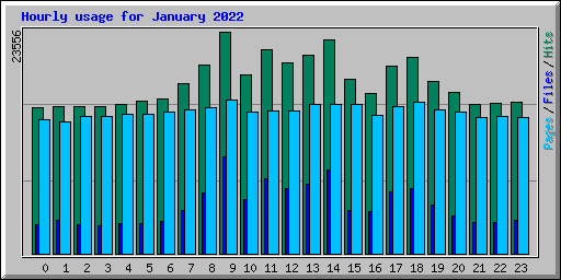 Hourly usage for January 2022