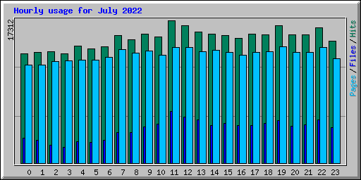 Hourly usage for July 2022