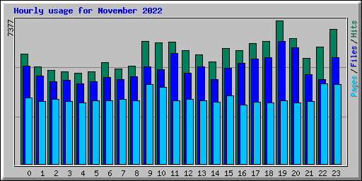 Hourly usage for November 2022