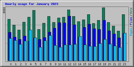 Hourly usage for January 2023