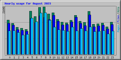 Hourly usage for August 2023