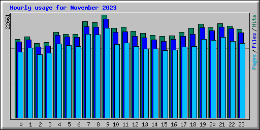 Hourly usage for November 2023