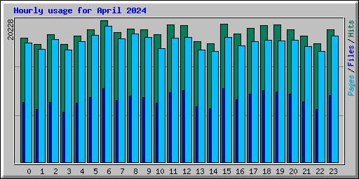 Hourly usage for April 2024