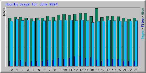 Hourly usage for June 2024