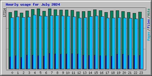 Hourly usage for July 2024