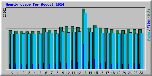 Hourly usage for August 2024