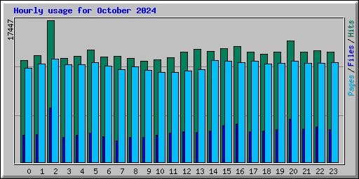 Hourly usage for October 2024