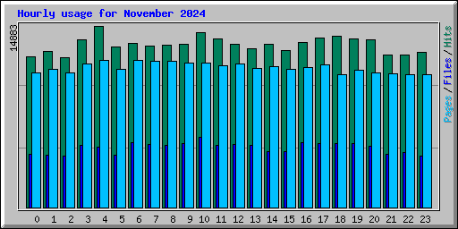 Hourly usage for November 2024