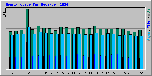 Hourly usage for December 2024