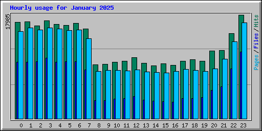 Hourly usage for January 2025