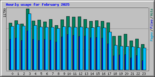 Hourly usage for February 2025