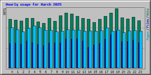 Hourly usage for March 2025