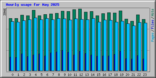 Hourly usage for May 2025